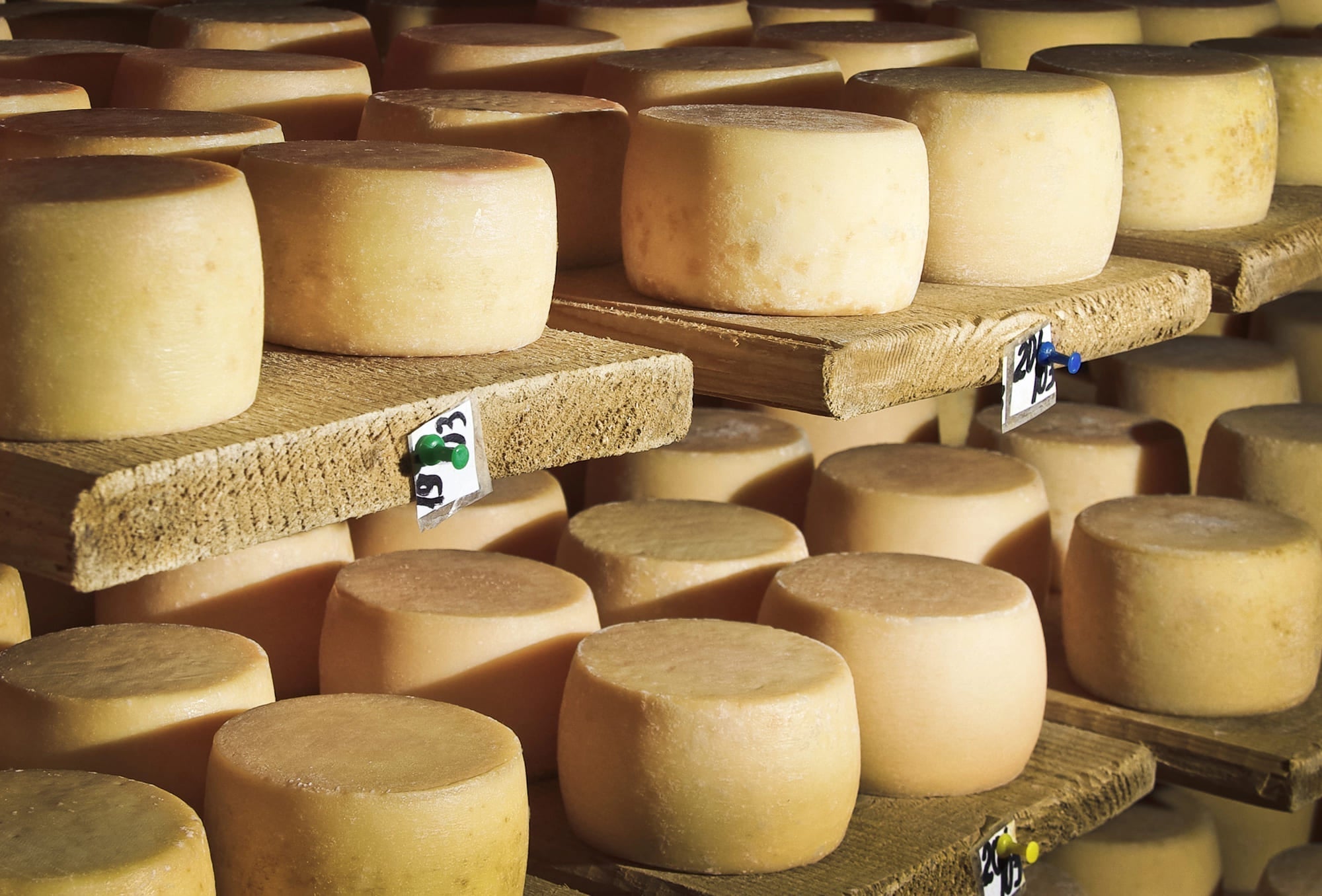 Quesos madurando en estanterías de bodega
