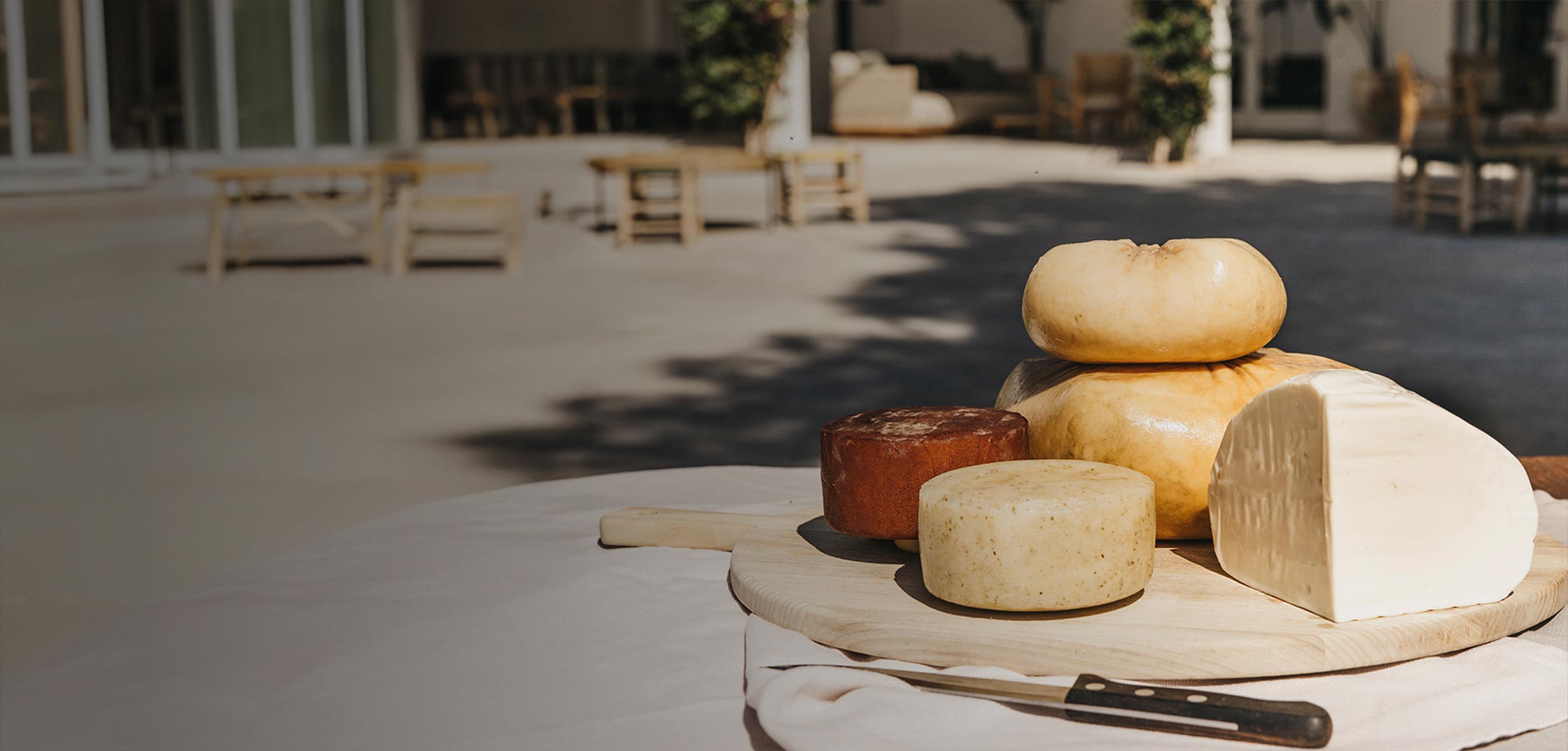 Selección de quesos artesanos sobre tabla de madera