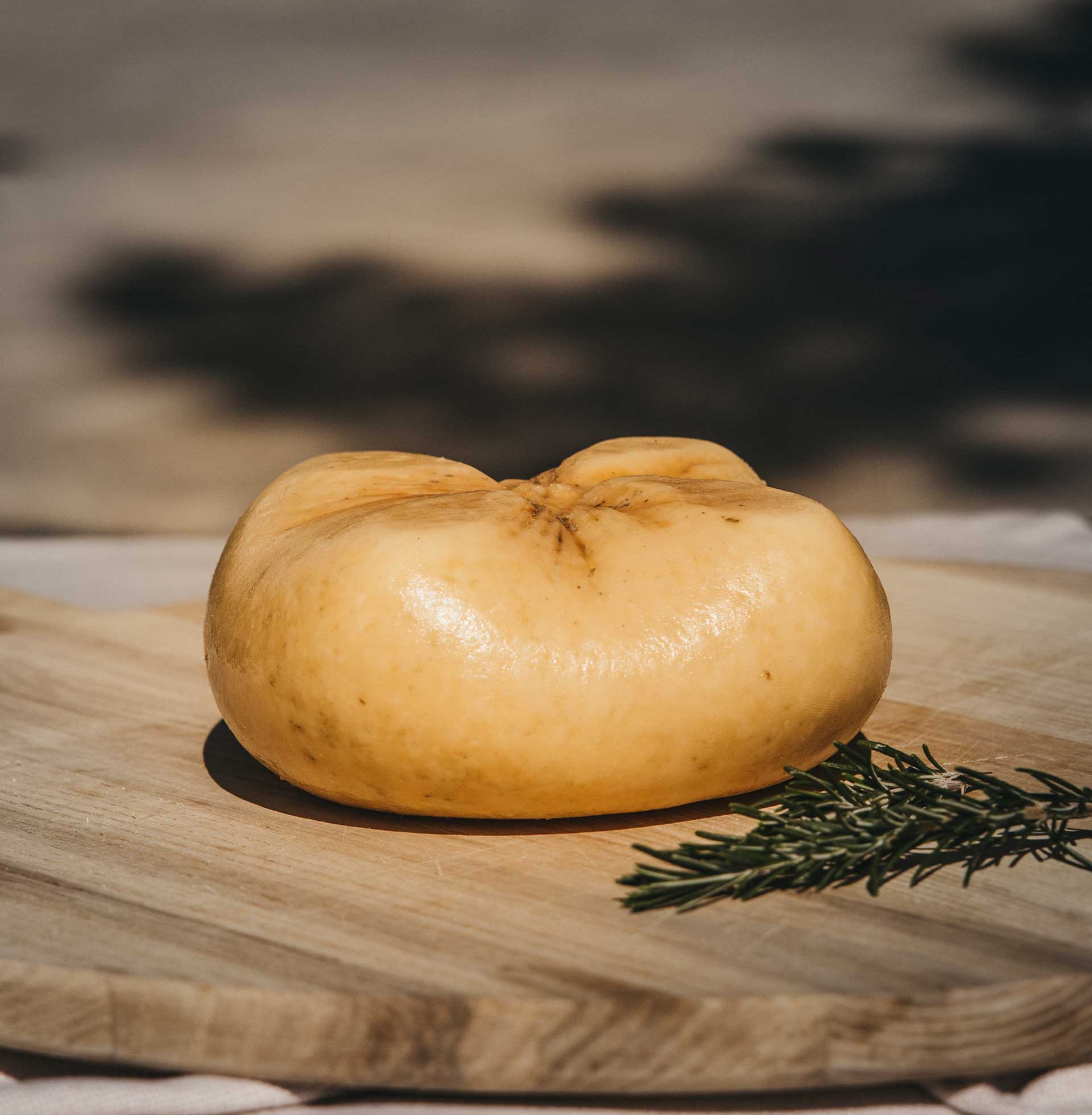 Queso artesanal sobre tabla de madera