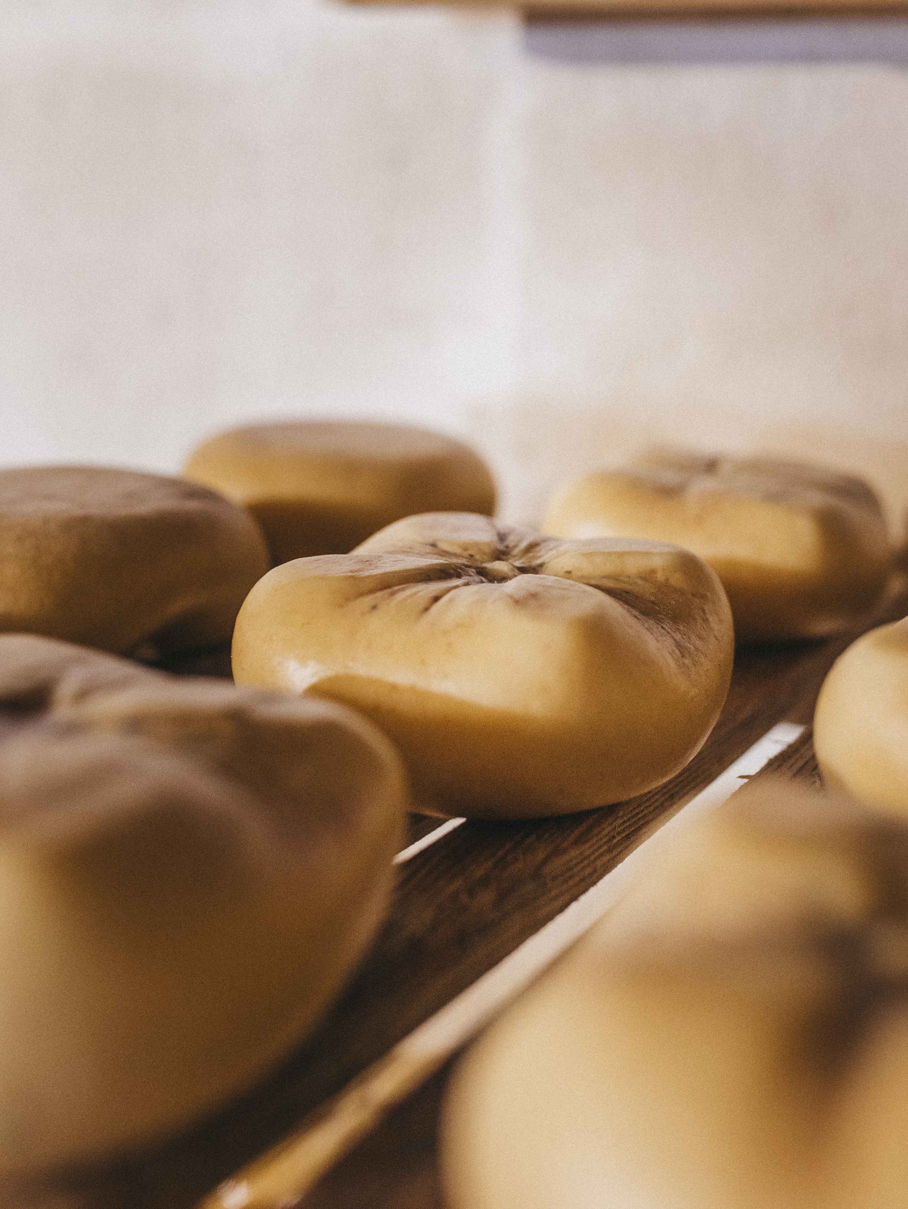 Quesos curados Sant Patrici en proceso de maduración