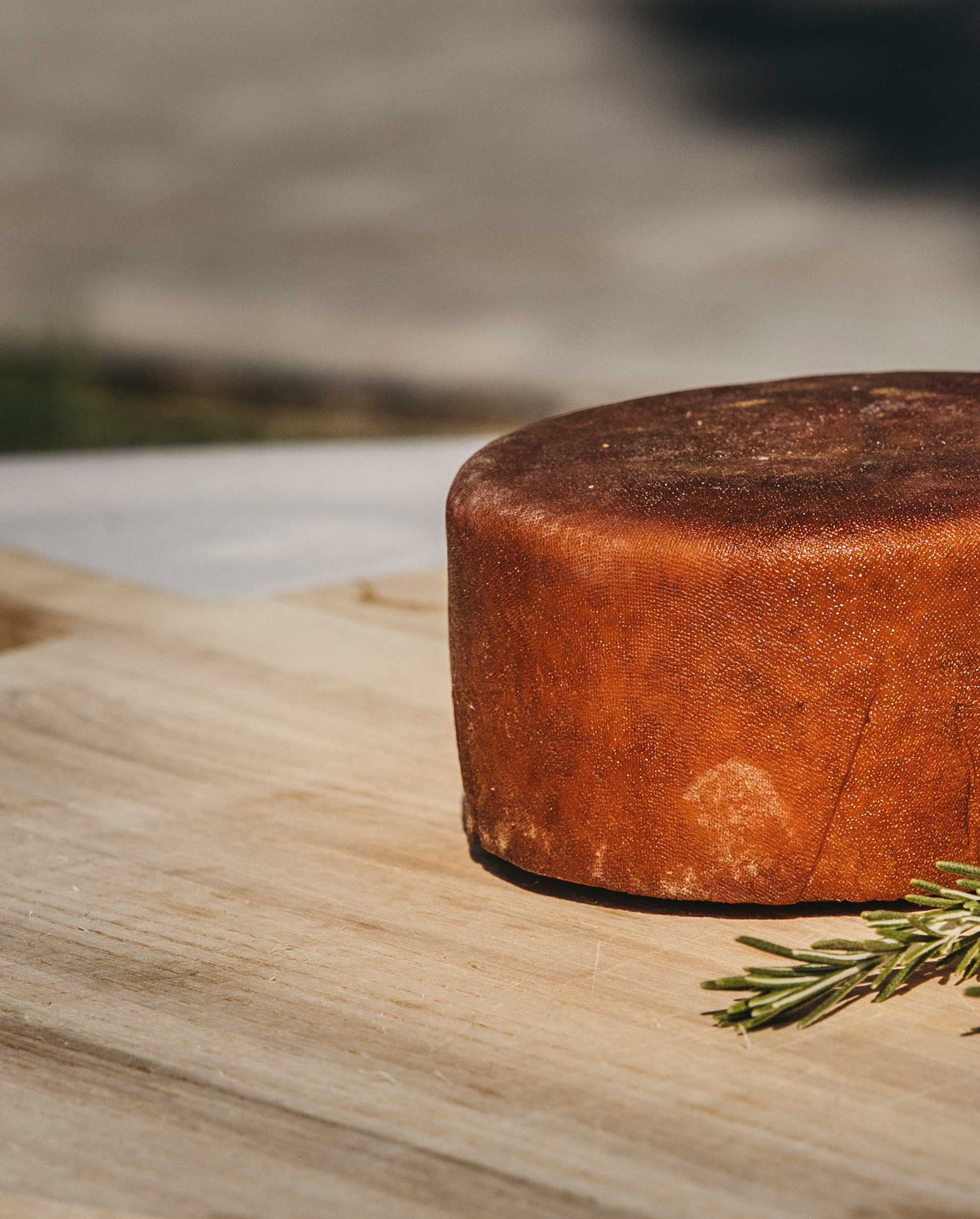 Queso gourmet sobre tabla de madera
