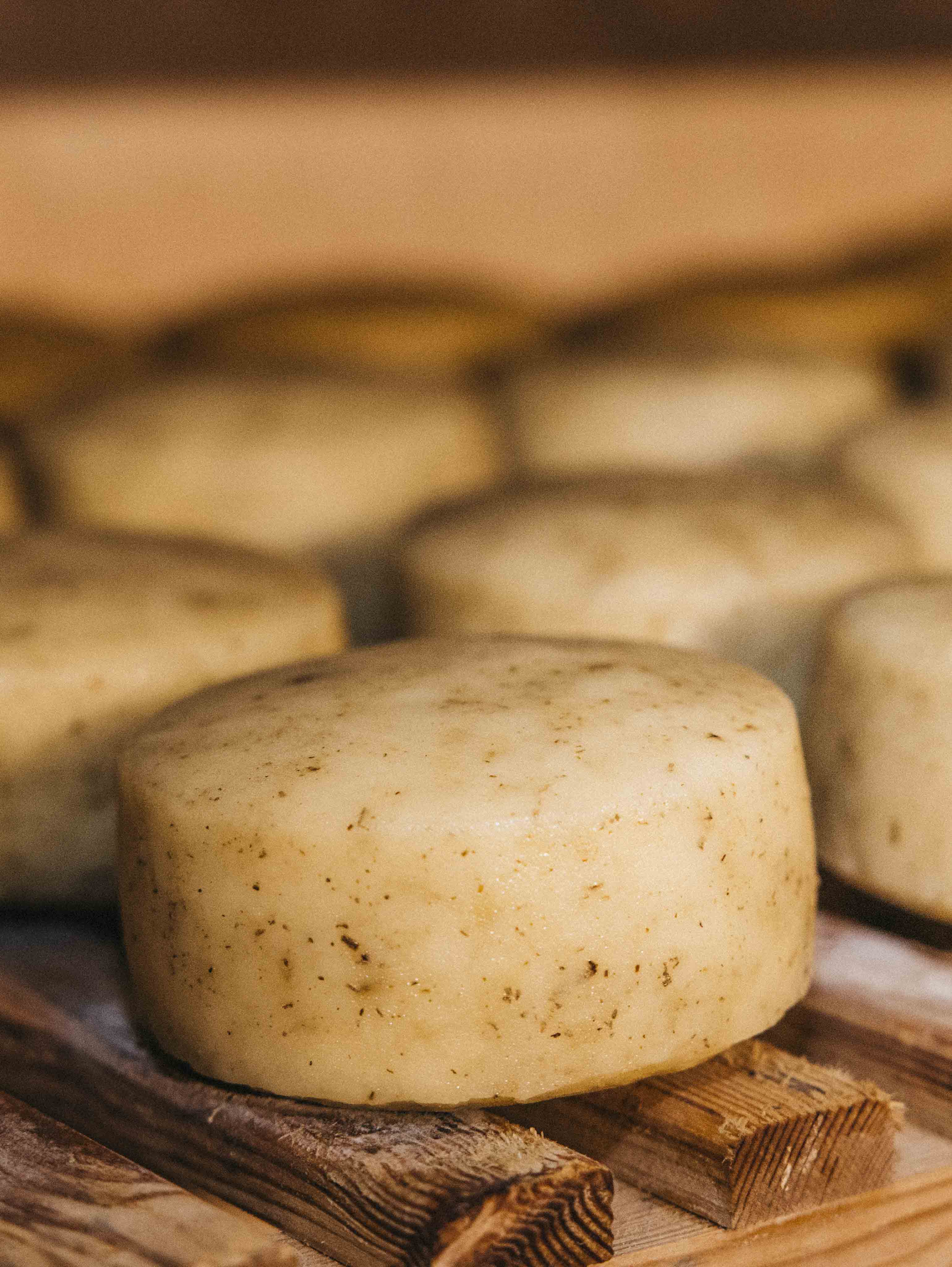 Queso al romero Sant Patrici artesanal