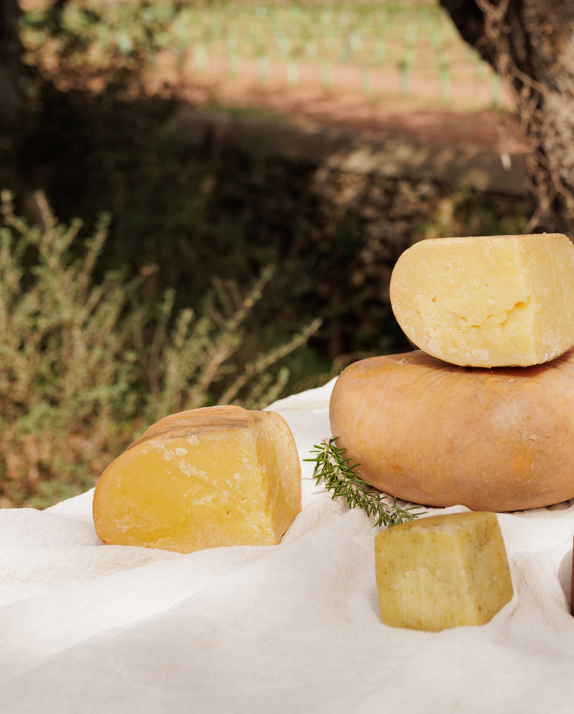 Diferentes tipos de queso Mahón-Menorca